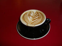 Cappucino